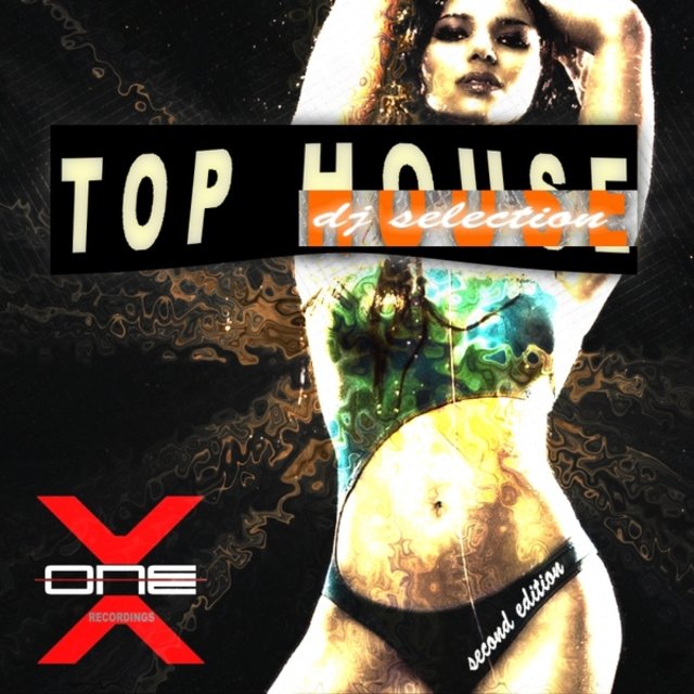 Top House DJ Selection 2