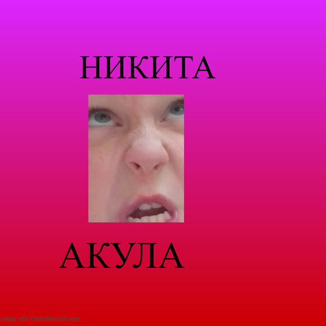 Акула