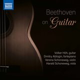 Andante & Variations in D Major, WoO 44b (Arr. for Guitar & Piano)