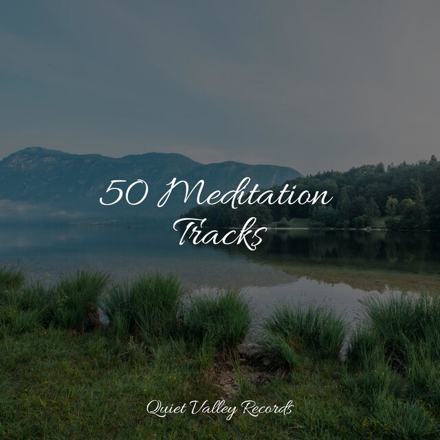 50 Meditation Tracks