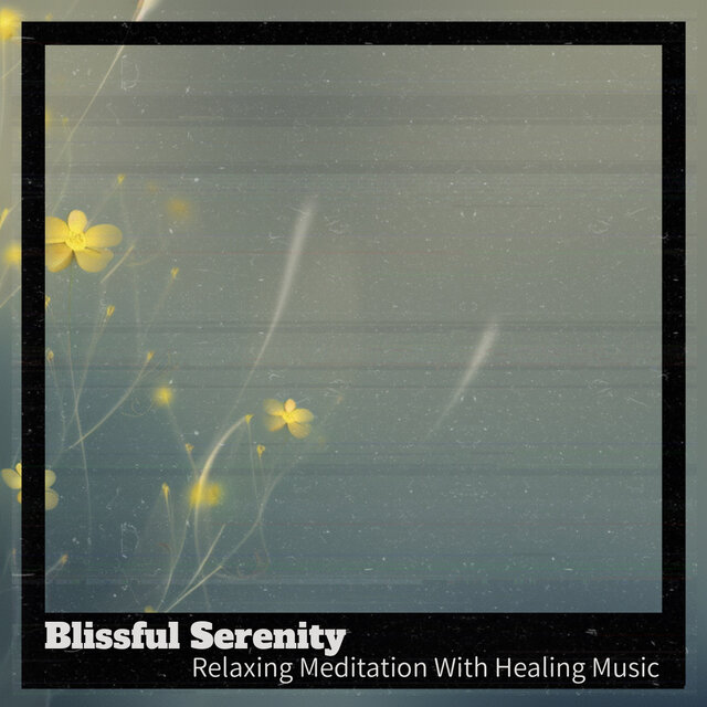 Relaxing Meditation With Healing Music
