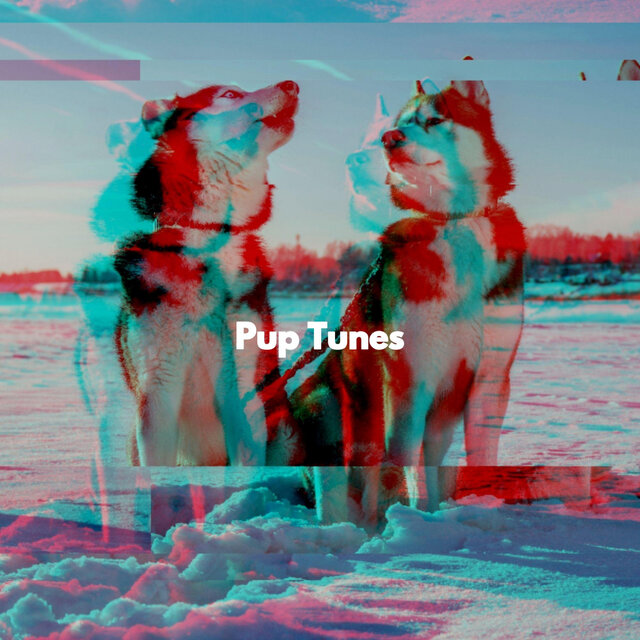Pup Tunes