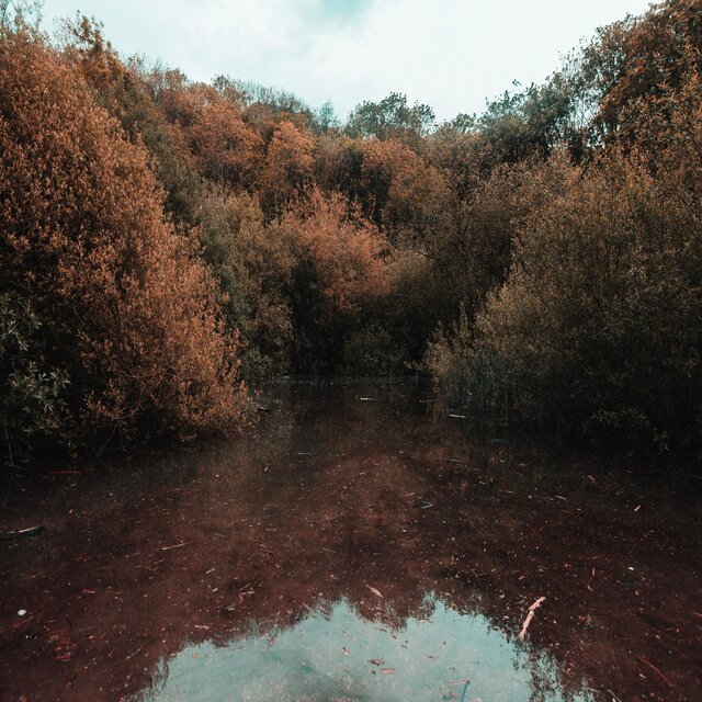 Solitude