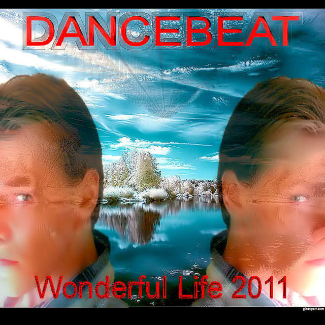 Wonderful Life 2011