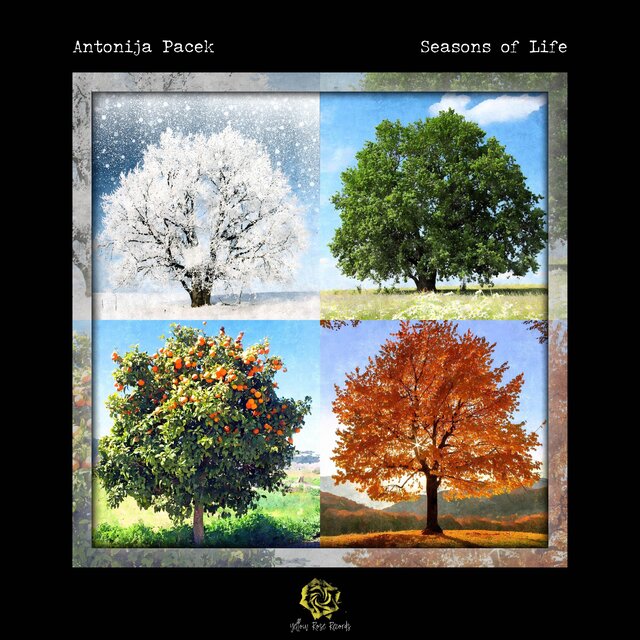 Seasons of Life