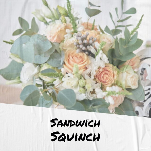 Sandwich Squinch