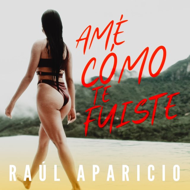Amé cómo te fuiste