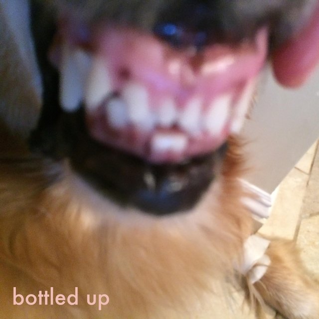 Bottled Up