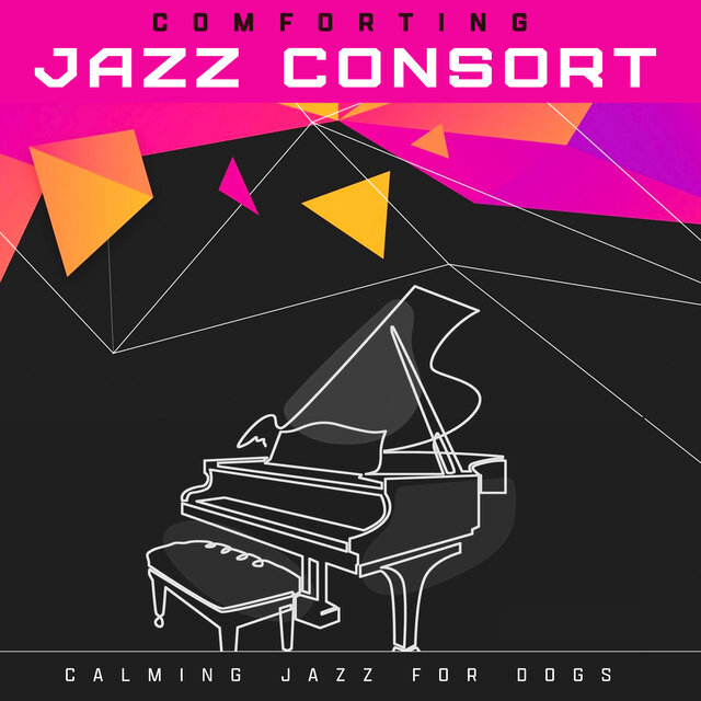Comforting Jazz Consort