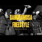 GM Freestyle