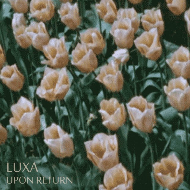 Upon Return