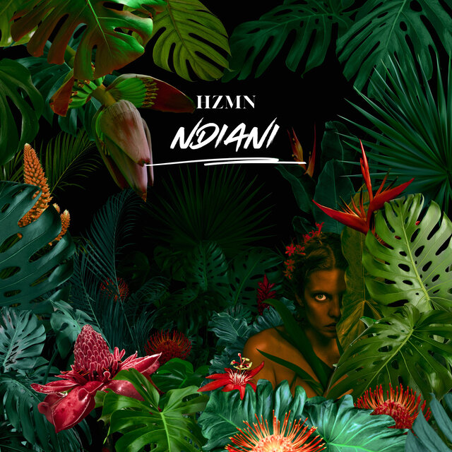 Ndiani