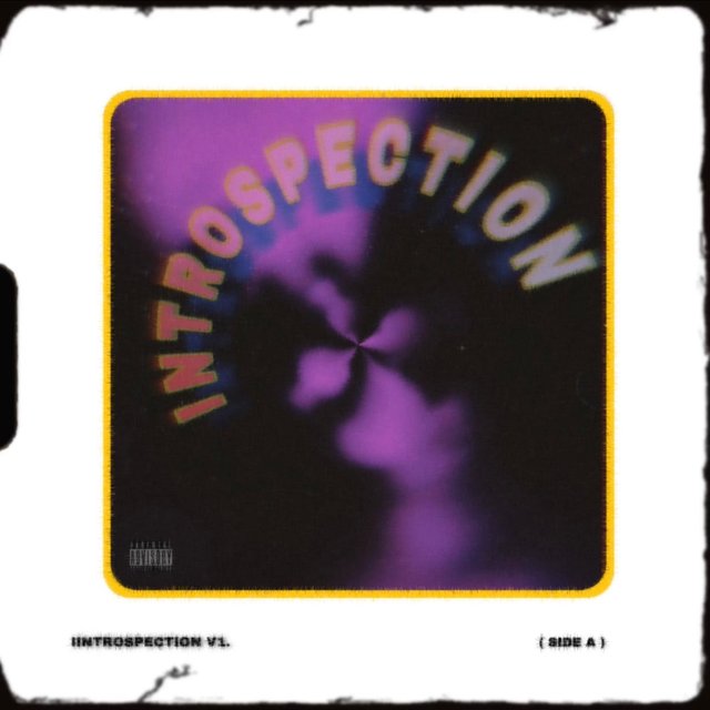 Introspection