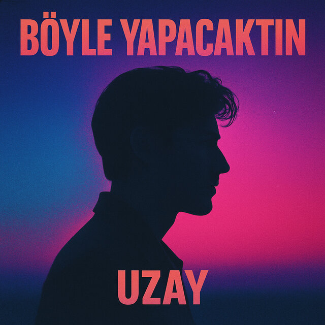 Böyle Yapacaktın