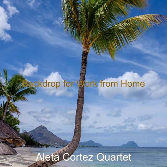 Backdrop for Work from Home