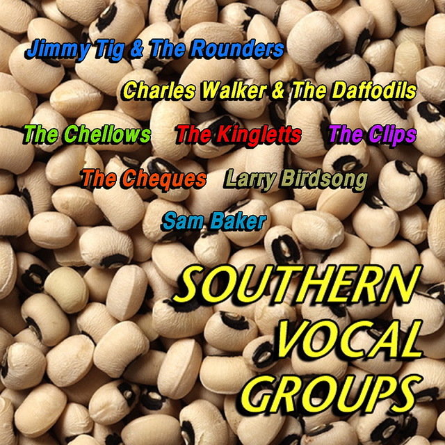 Southern Vocal Groups (Re-mastered)