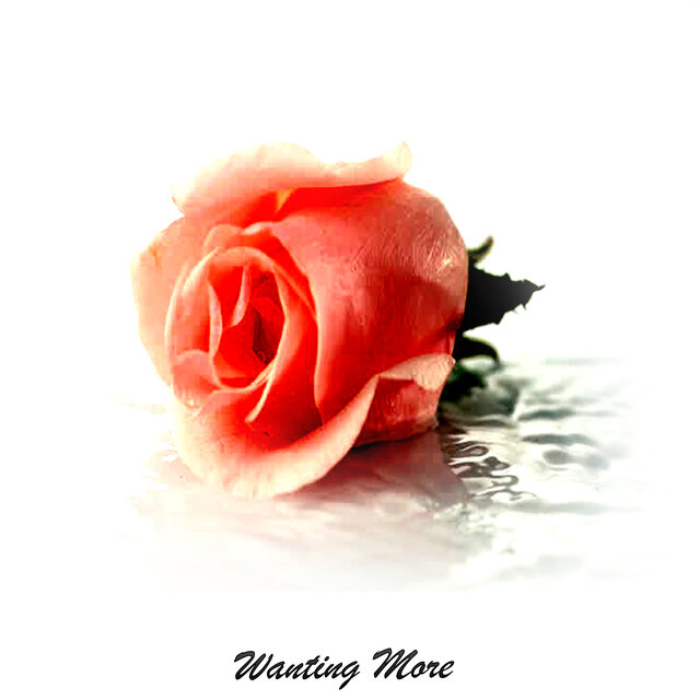 Wanting More