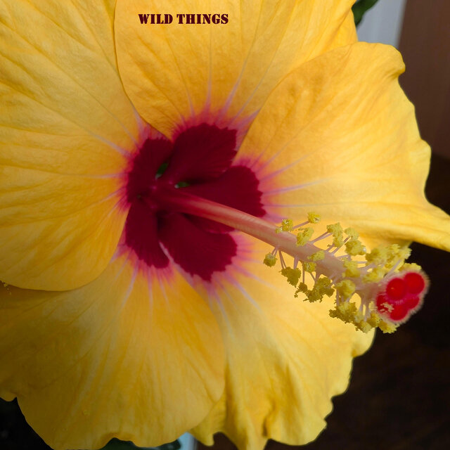 Wild Things
