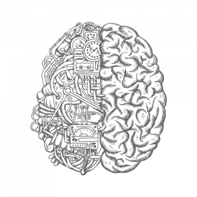 Fornix