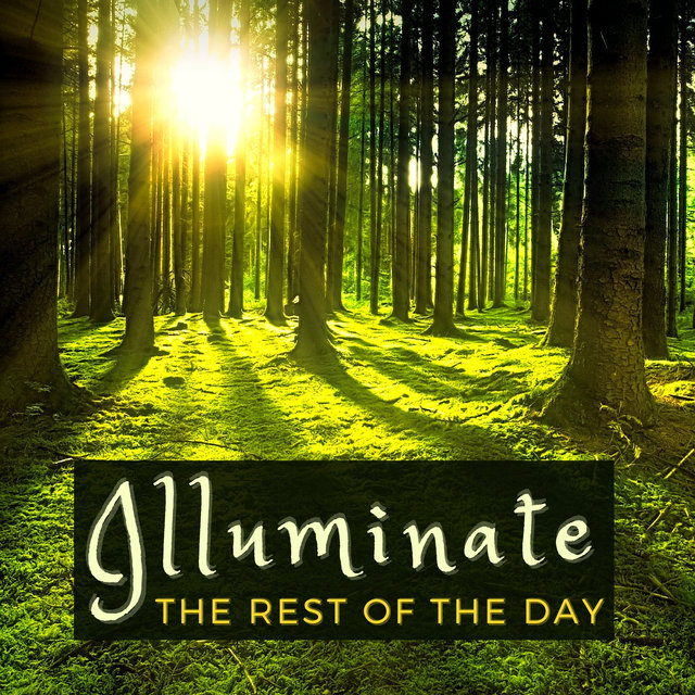 Illuminate the Rest of the Day