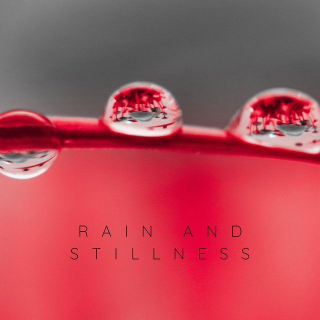 Rain And Stillness