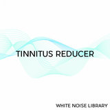 Best Rain Sound - Tinnitus Reducer - Loopable With No Fade