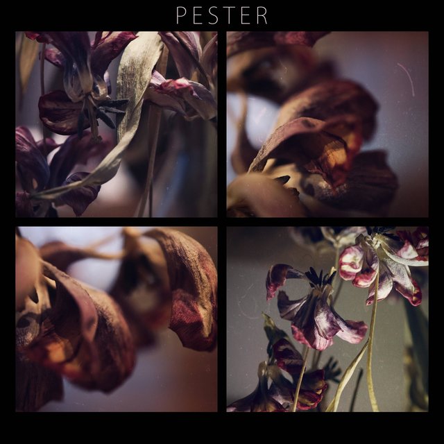 PESTER