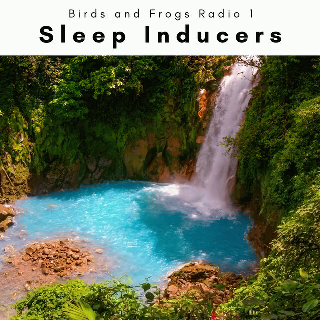 A Sleep Inducers