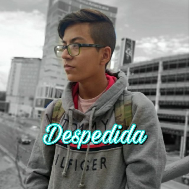 Despedida