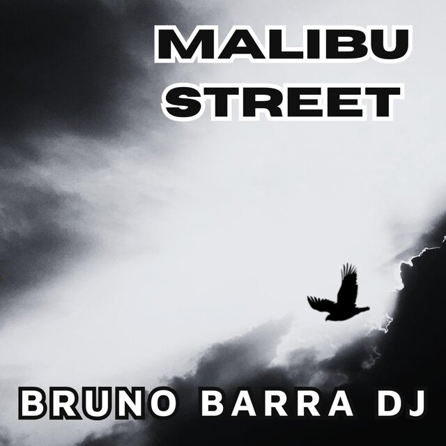 MALIBU STREET