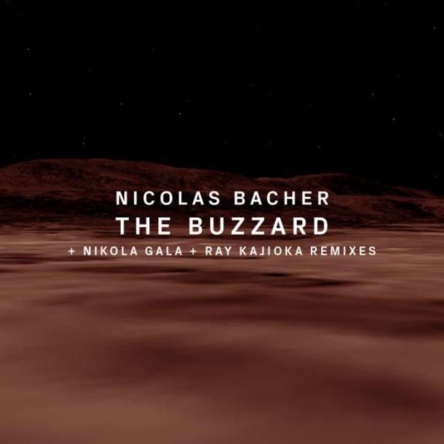 The Buzzard