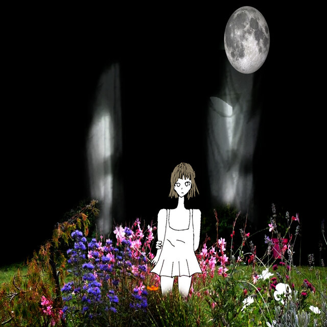 Night Garden