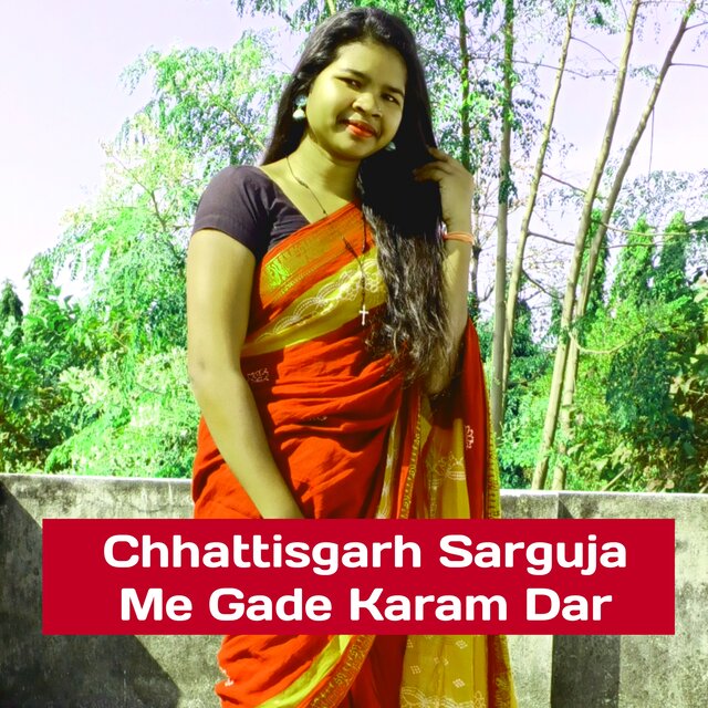 Chhattisgarh Sarguja Me Gade Karam Dar