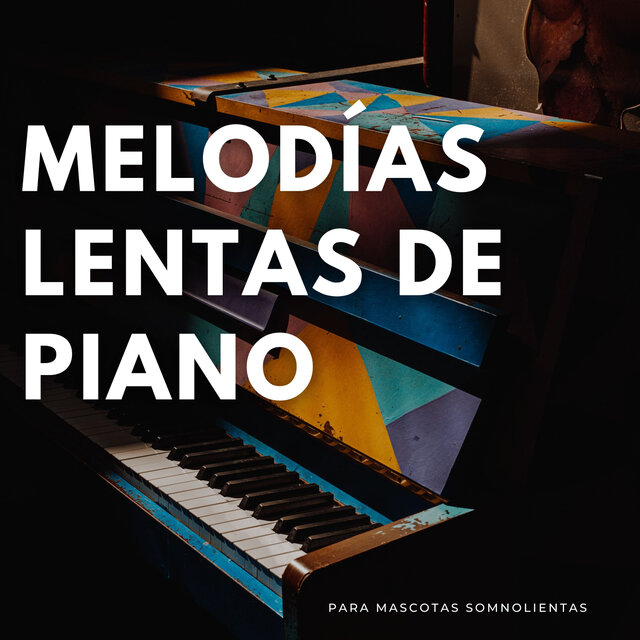 Melodías Lentas De Piano Para Mascotas Somnolientas