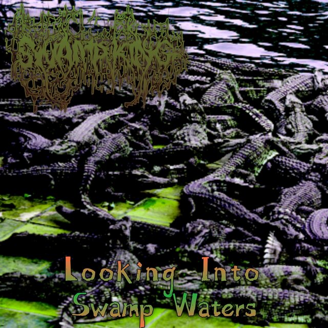 \\Looking Into Swamp Waters//