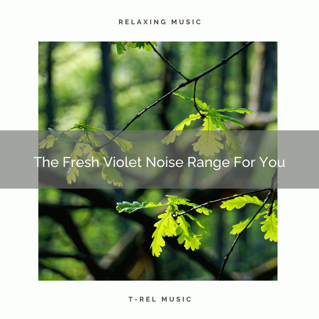 The Fresh Violet Noise Range For You