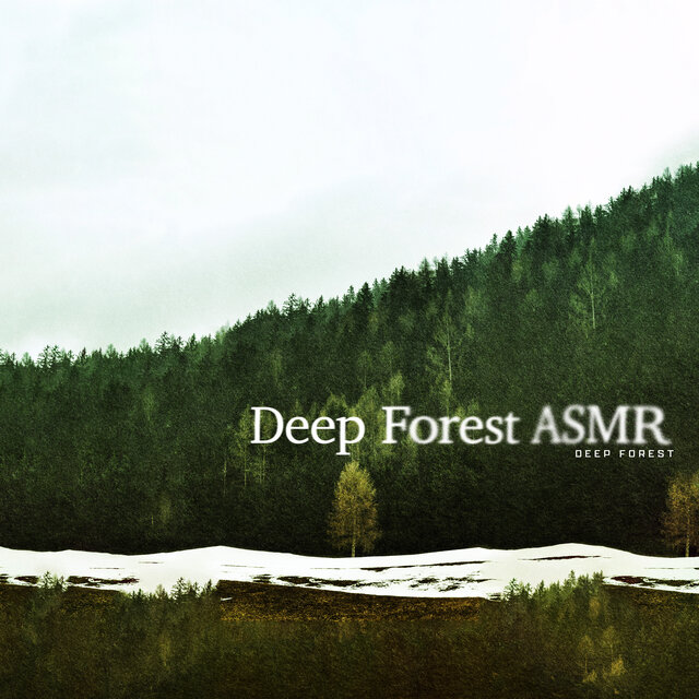 Deep Forest ASMR