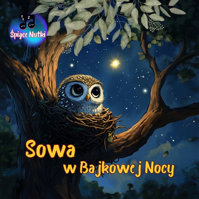 Sowa w Bajkowej Nocy