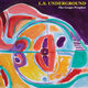 Cover art for album The Grape Prophet by L.S. Underground