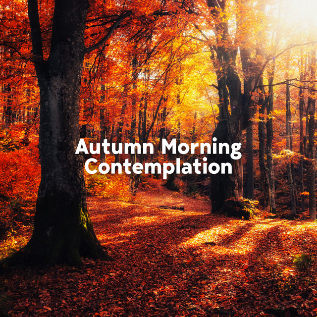 Autumn Morning Contemplation
