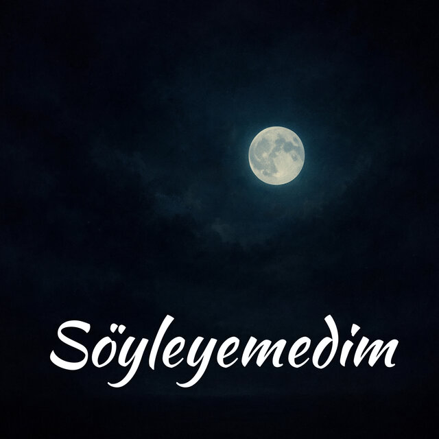 Söyleyemedim