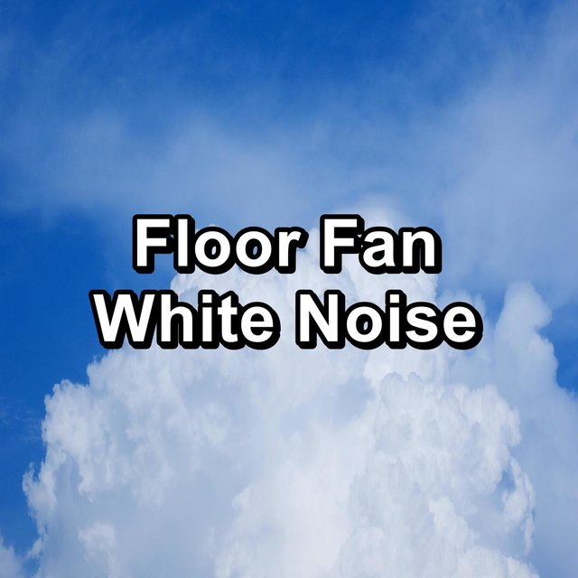 Floor Fan White Noise