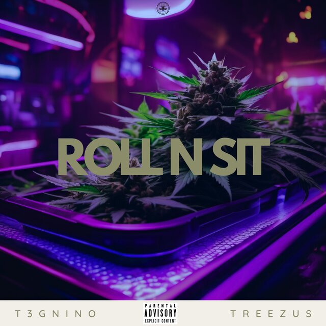 Roll N Sit