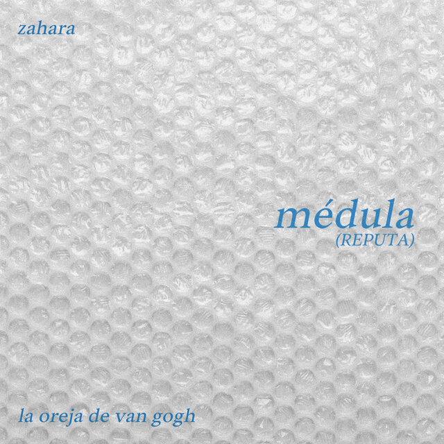 médula (REPUTA)