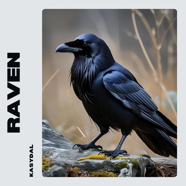 Raven