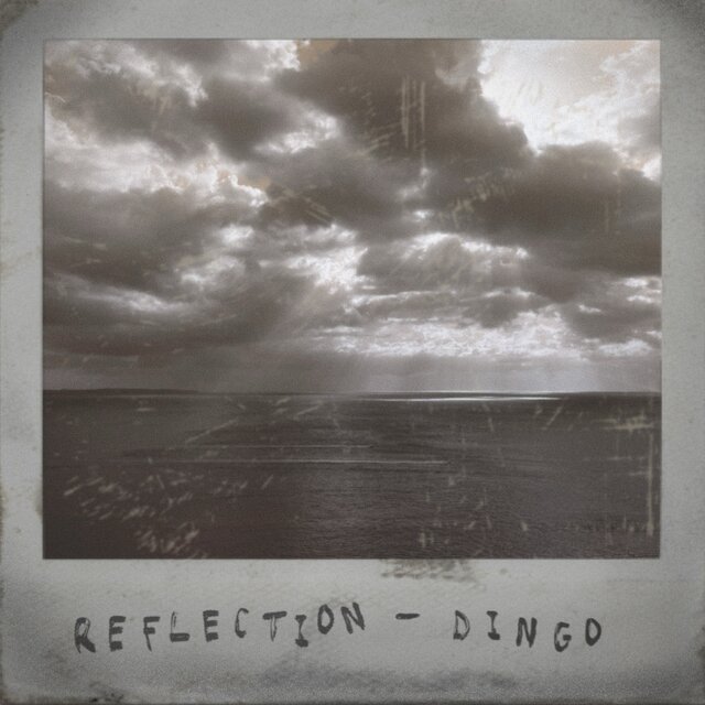 Reflection