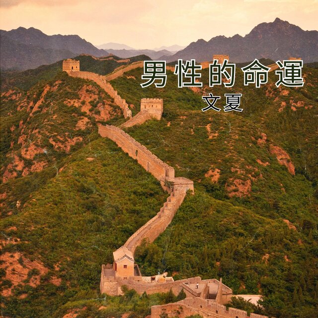 男性的命運