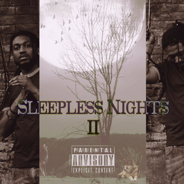 Sleepless Nights 2