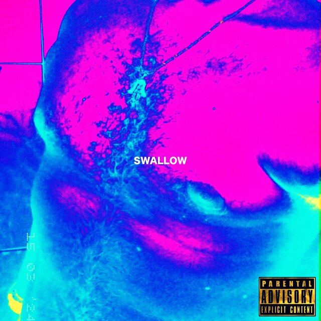SWALLOW