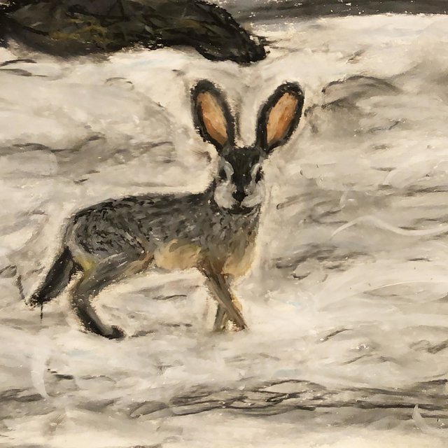 Year of the Jackrabbit